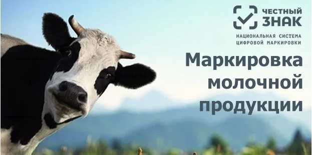 Какие молочные продукты нужно маркировать в России список и требования